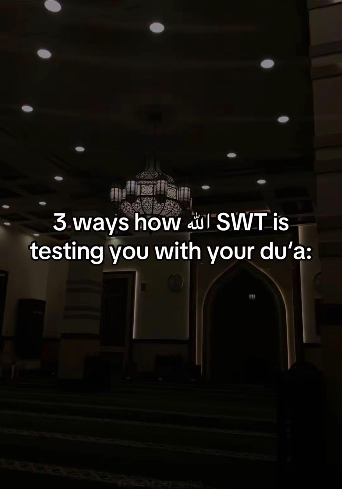 @halaltalks1