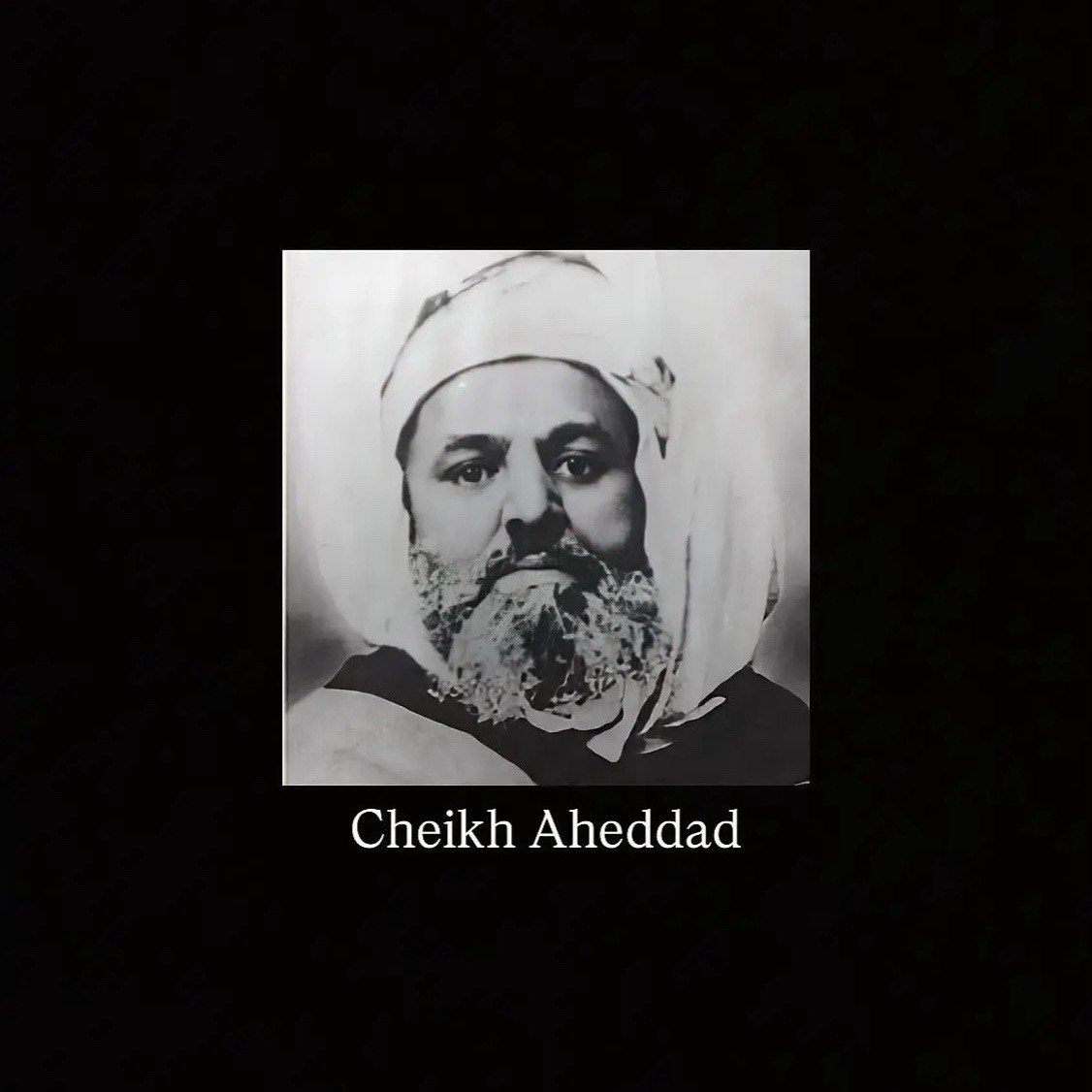 @Kabyle_actu