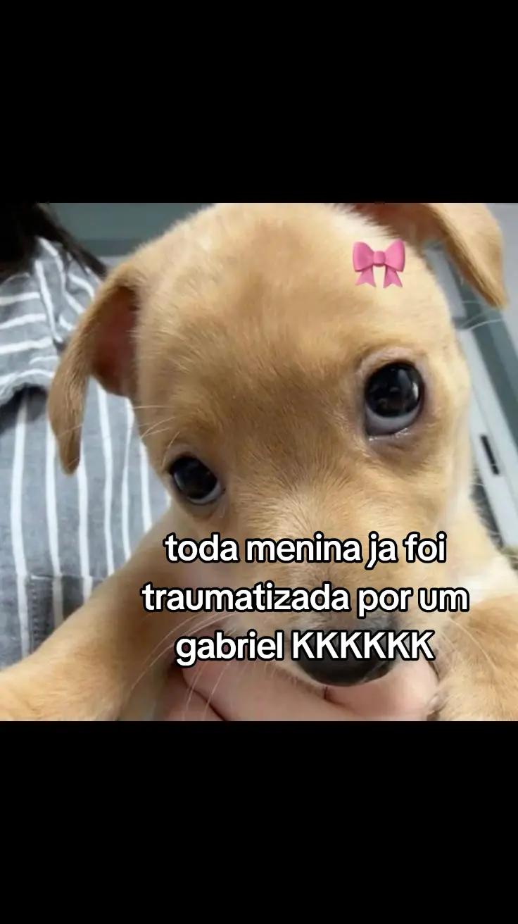 @oquinho