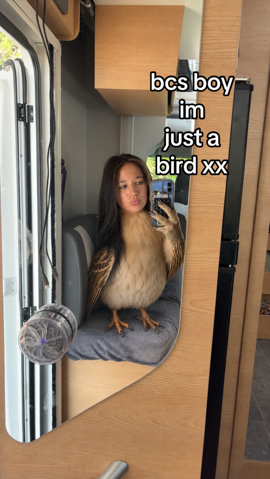 @hhollymcmillan