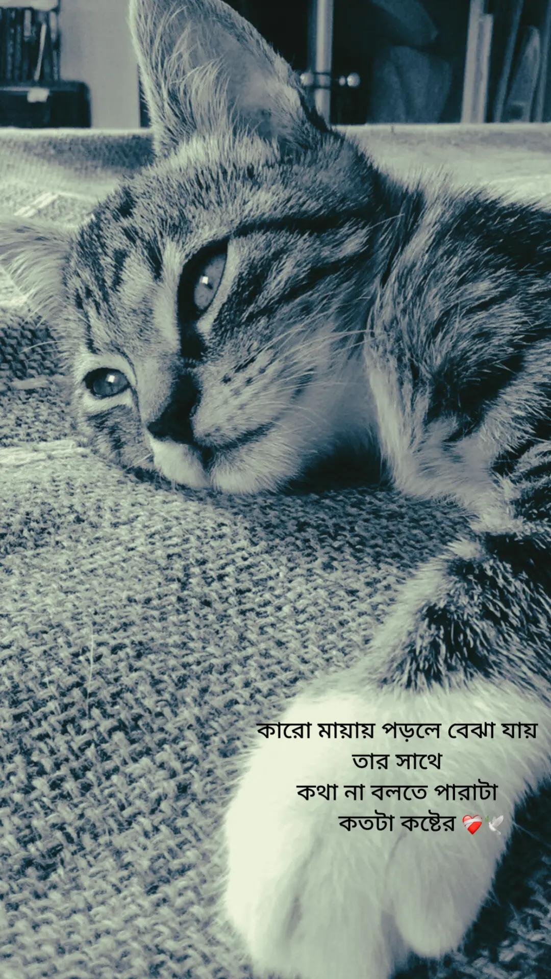 @Tamuuđ