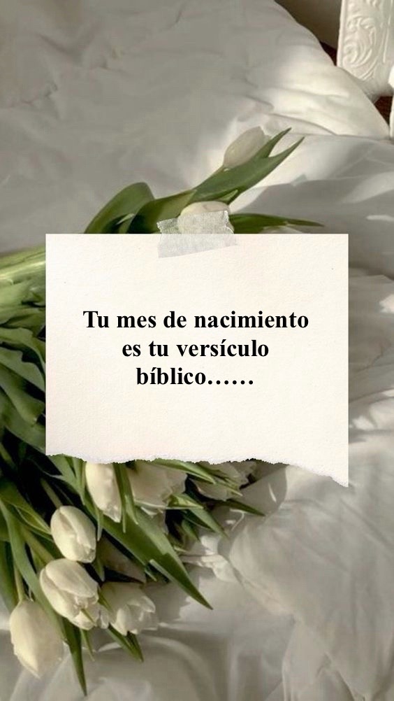 @tenemosunproposito