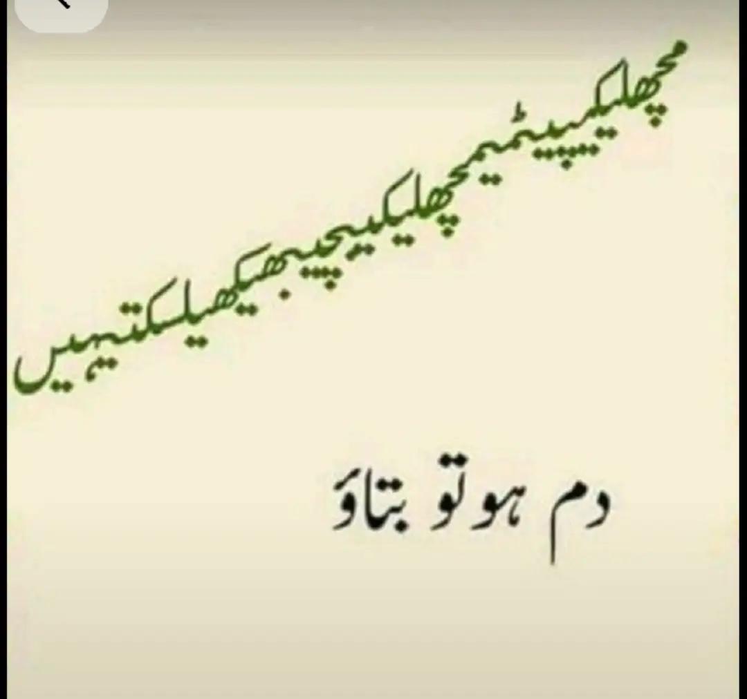 @میاں صاحب ❤️❤️