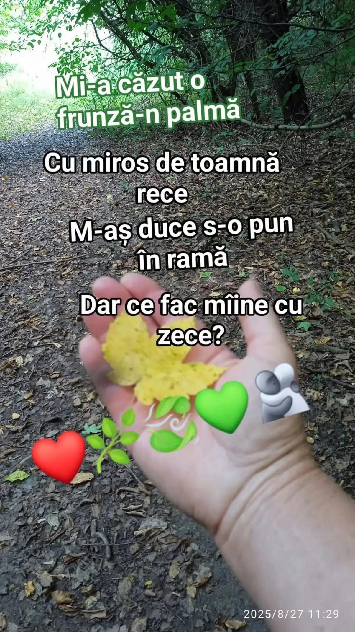 @Tatiana