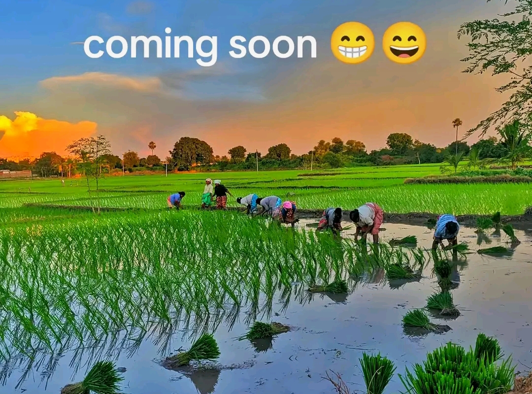 @꧁𝐒𝐢𝐧𝐠𝐥𝐞 𝐛𝐨𝙮 ꧂