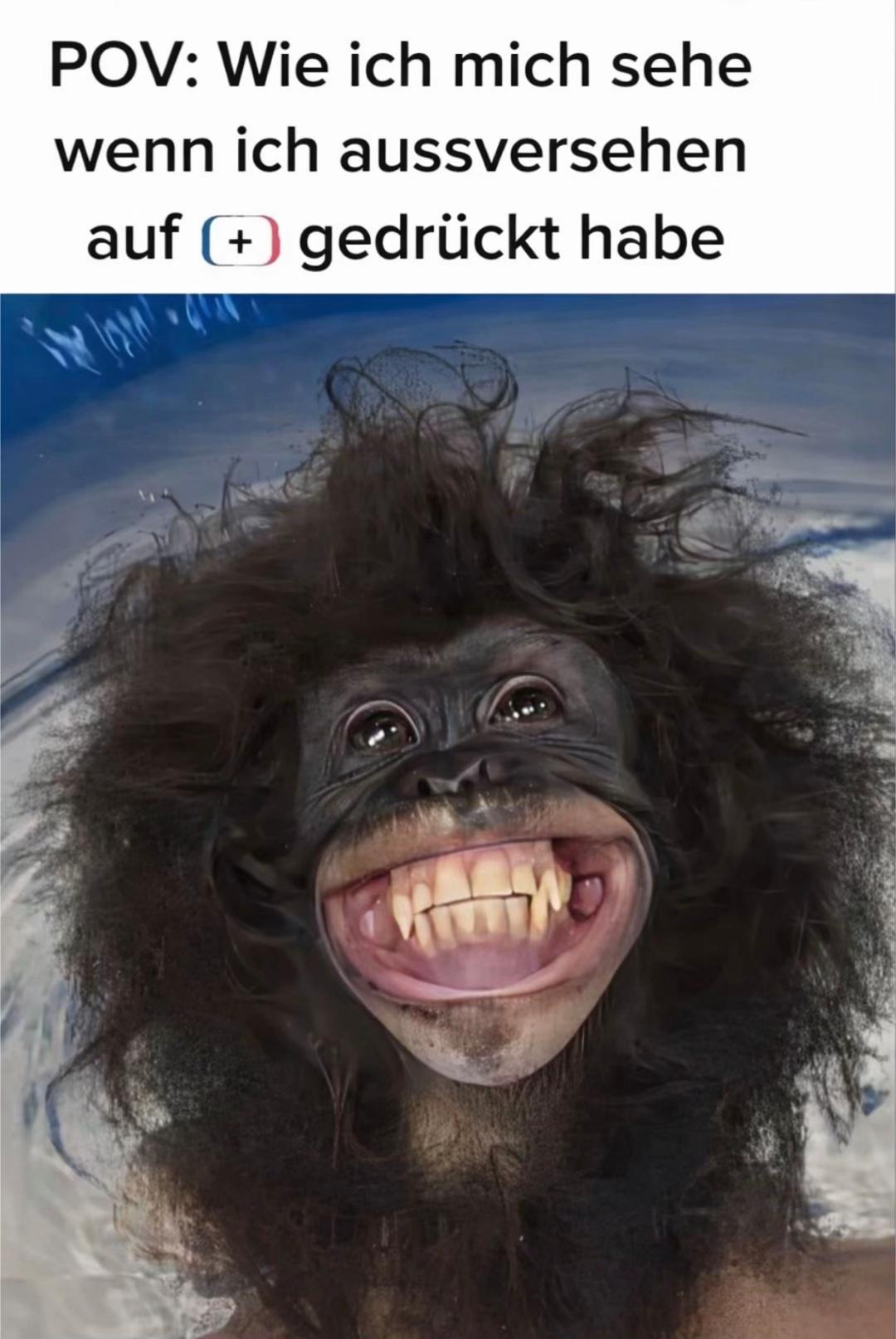 @Alessio