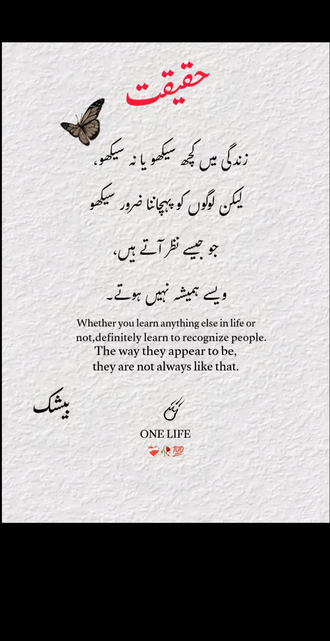 @Muhammad Ayoub 🇵🇰🇸🇦