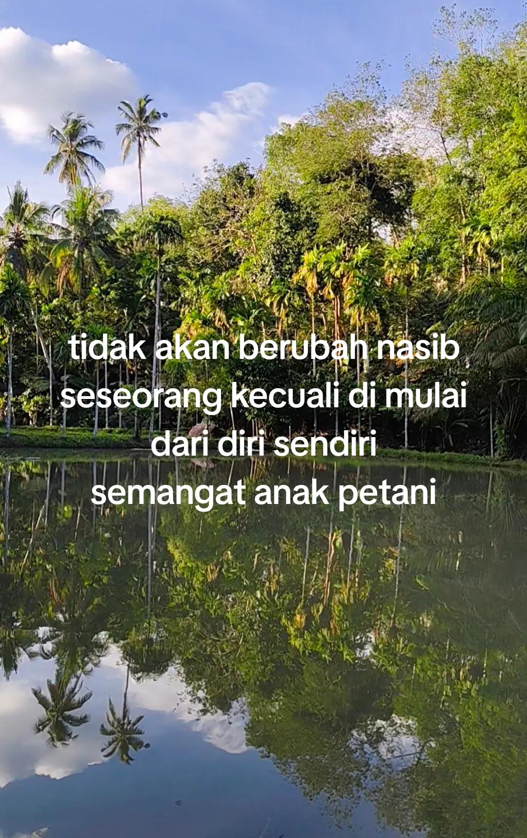 @petani kecil ujung tapsel