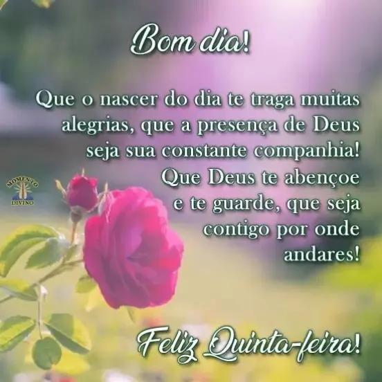 @José carlos