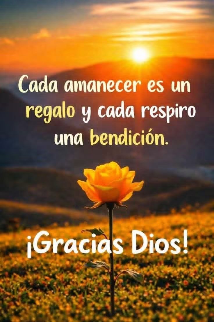 @Lucy Almaguer