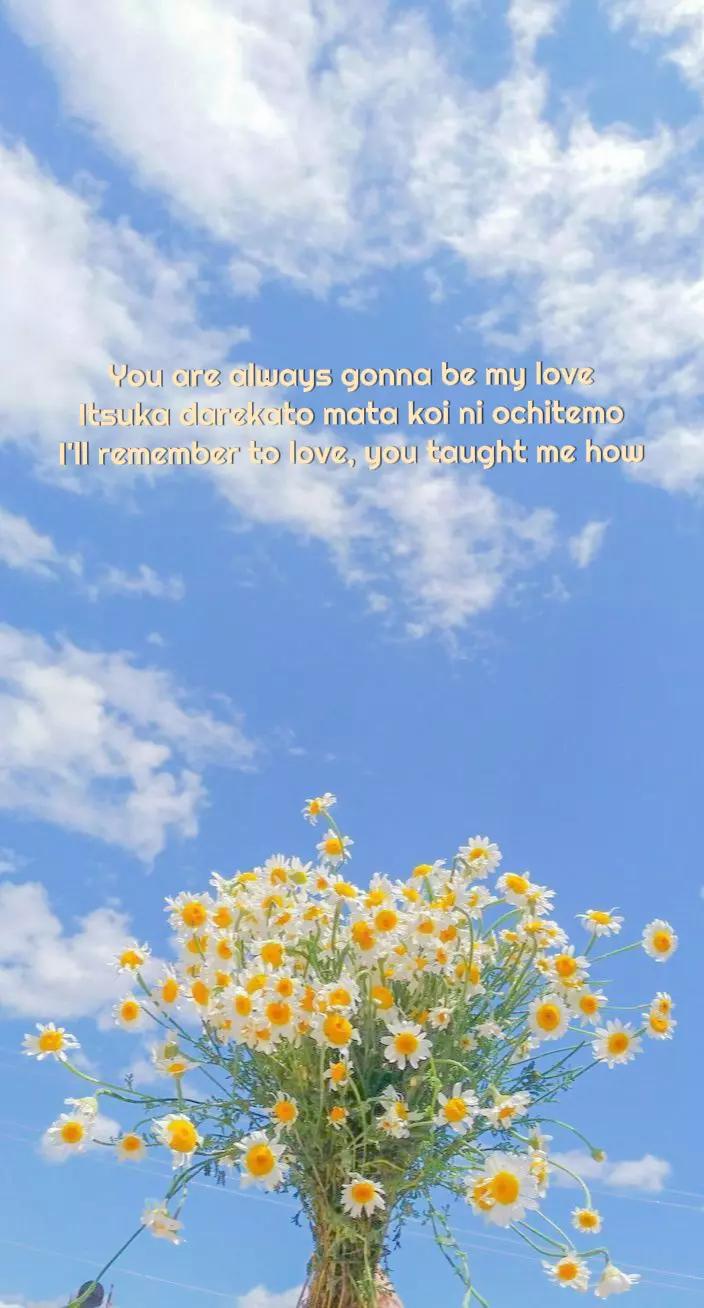 @Ann🦋