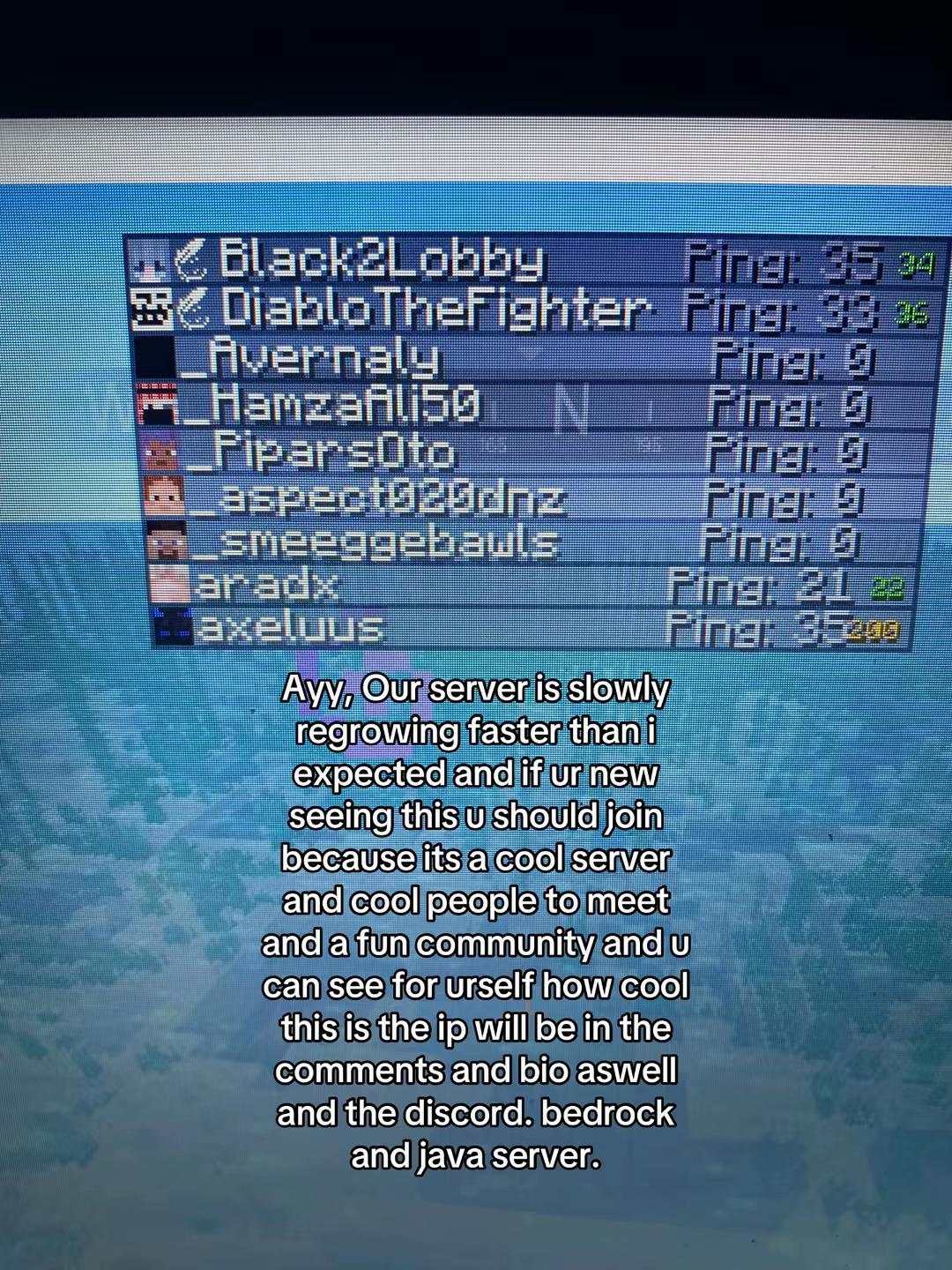 @Potion SMP