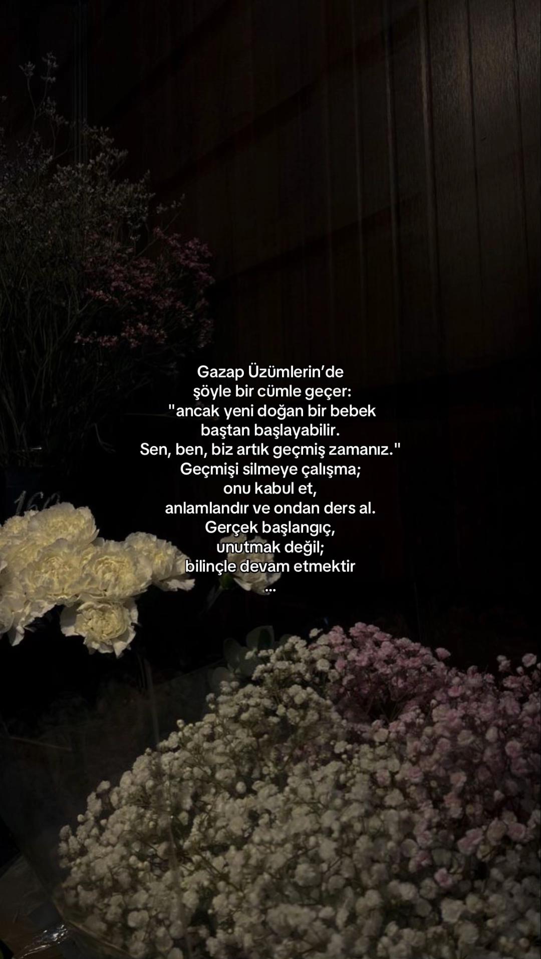 @𝓔𝓵𝓲𝓯