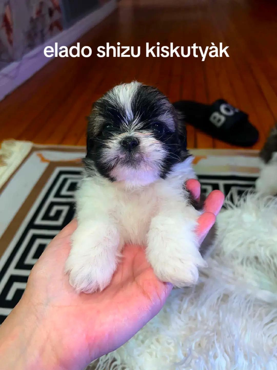 @niki