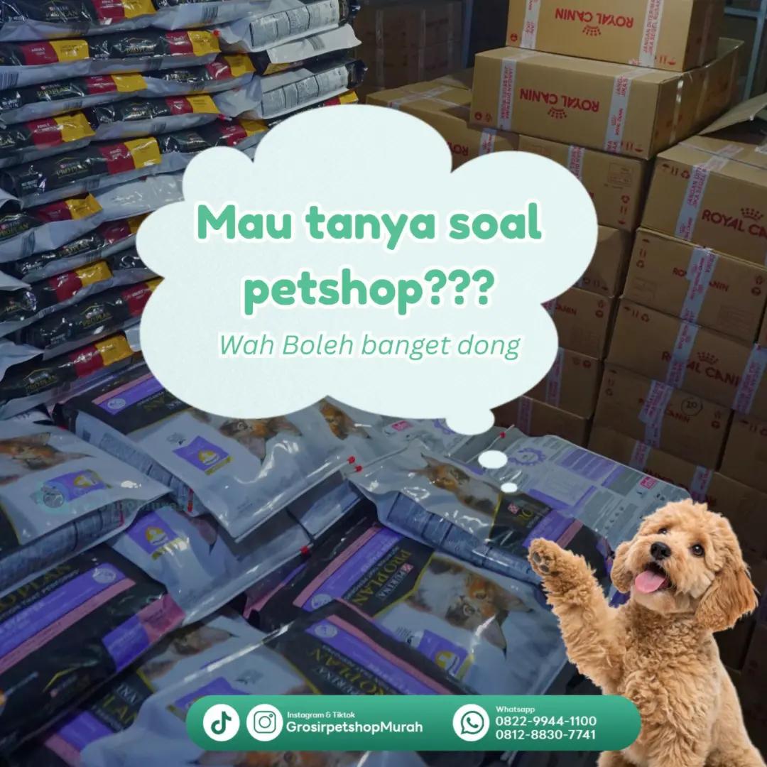 @Grosir Petshop Murah