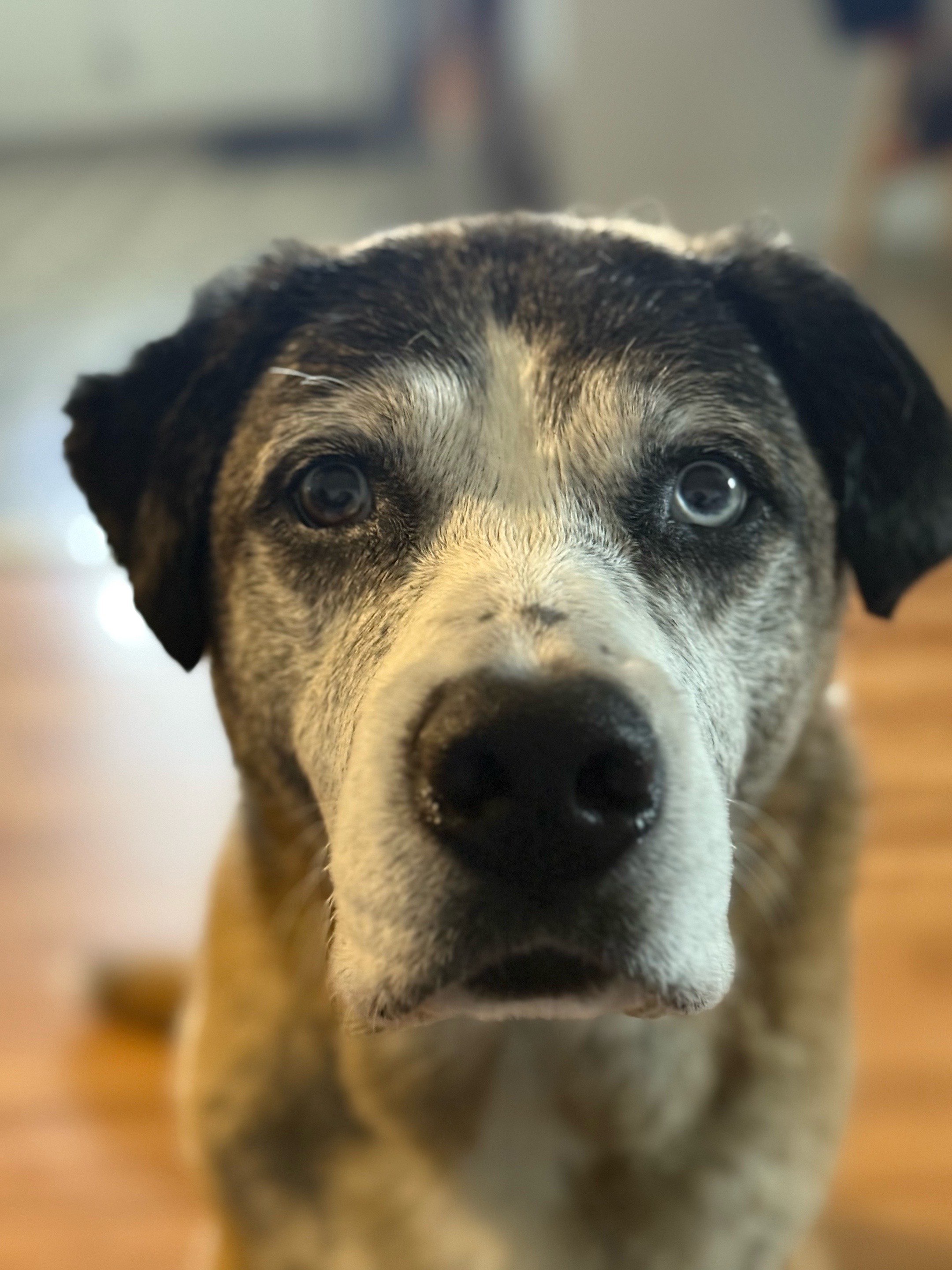 @Patrick O&rsquo;Sullivan