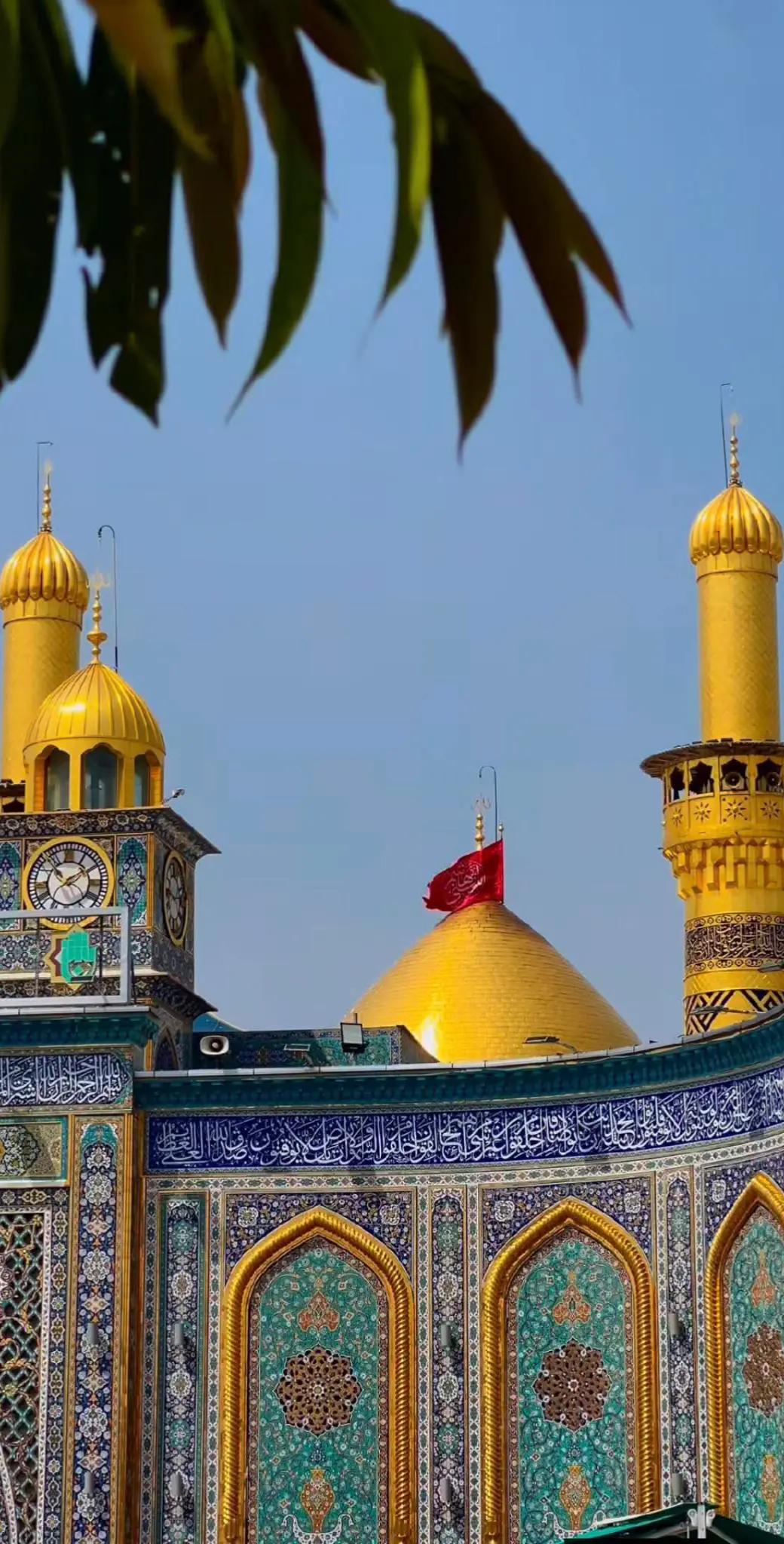 @علامہ ناصر عباس ملتان