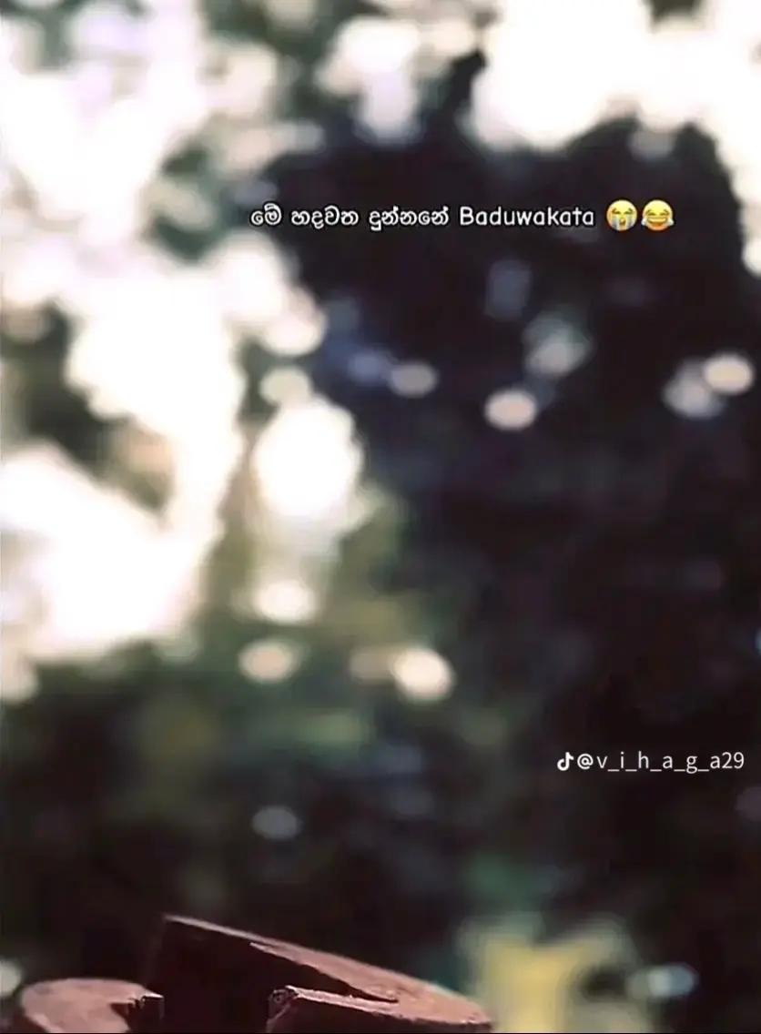 @Dulanjana