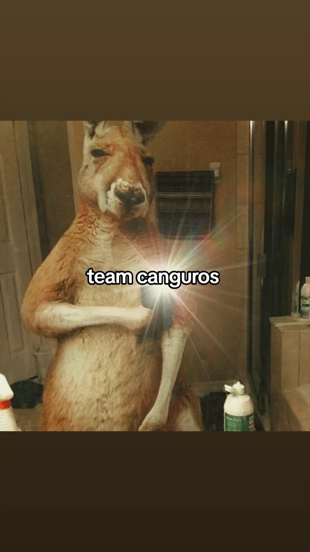 @Teamcanguro