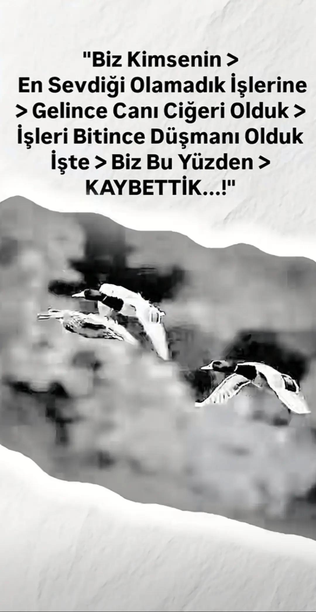 @🇹🇷🤘🇹🇷ALFA KURT 46 🇹🇷