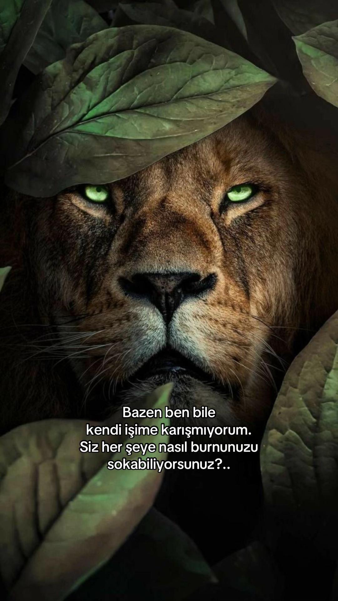 @Atarlı Kadın