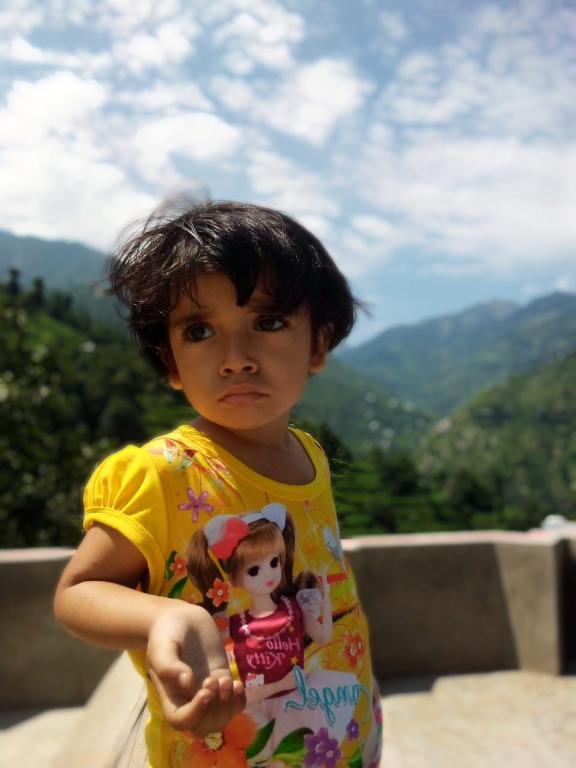 @Zulfikar