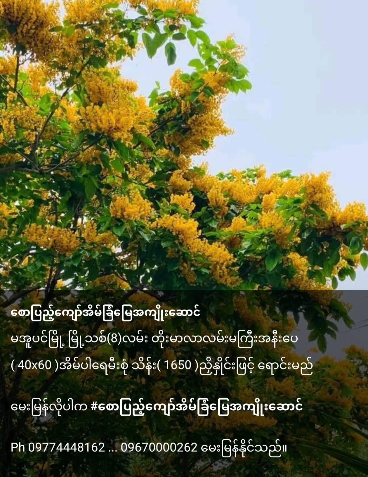 @ZwalPyaeKhant ♋