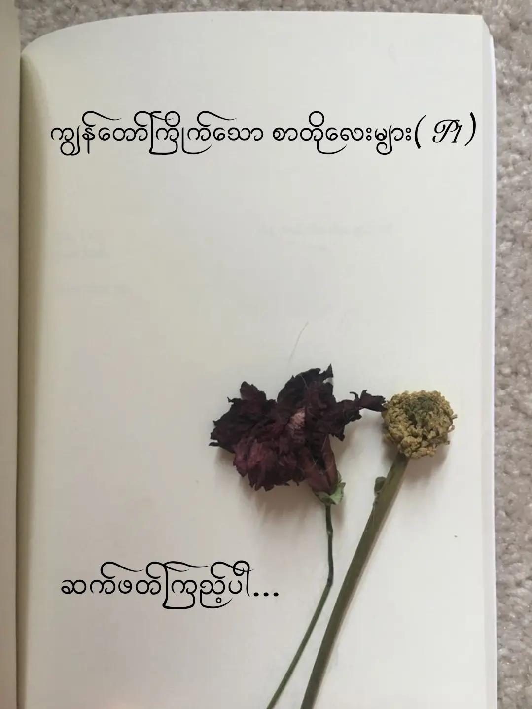@Khant(ခန့်)