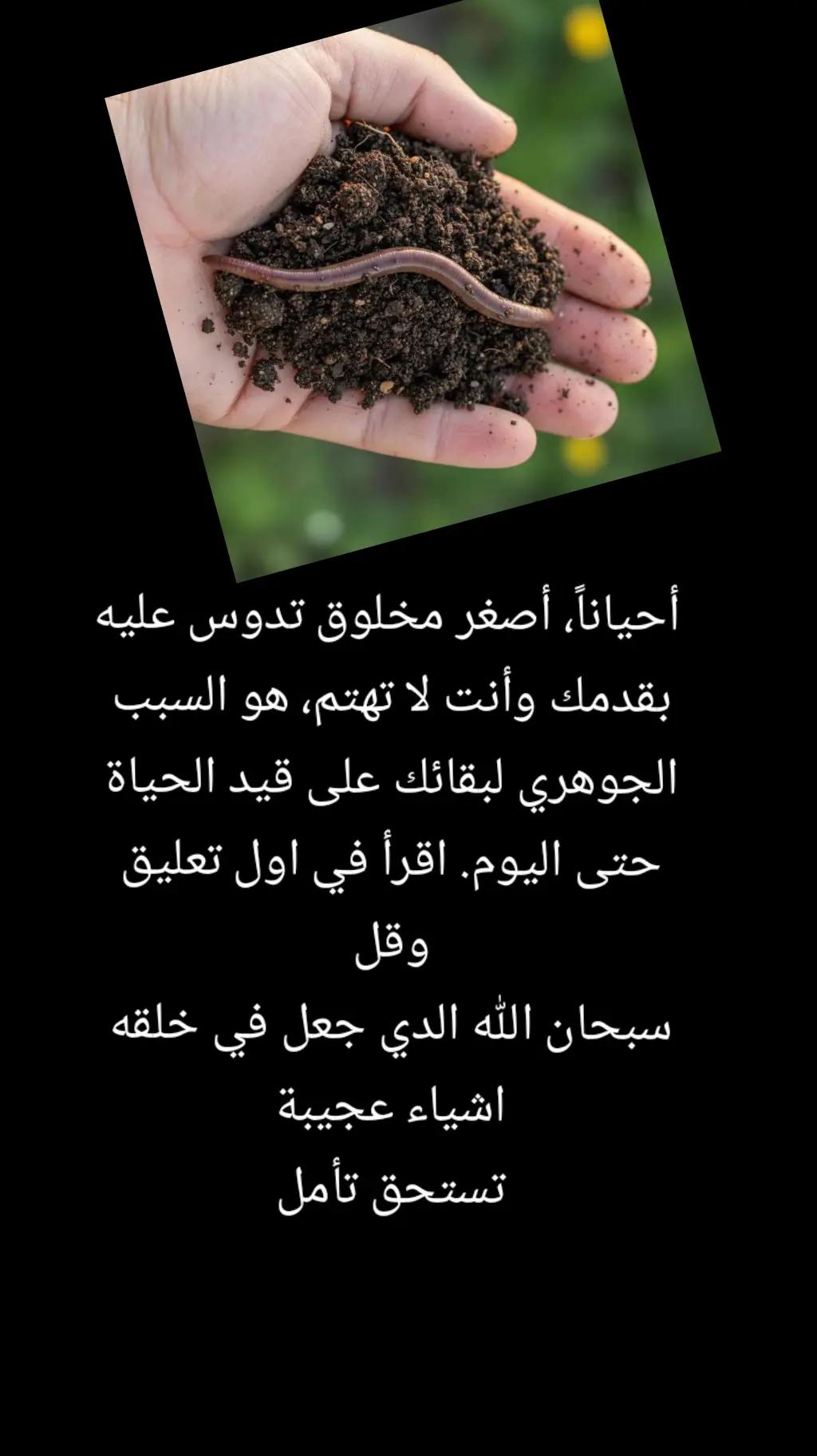 @سليم محتوى خاص بي قصص جميلة