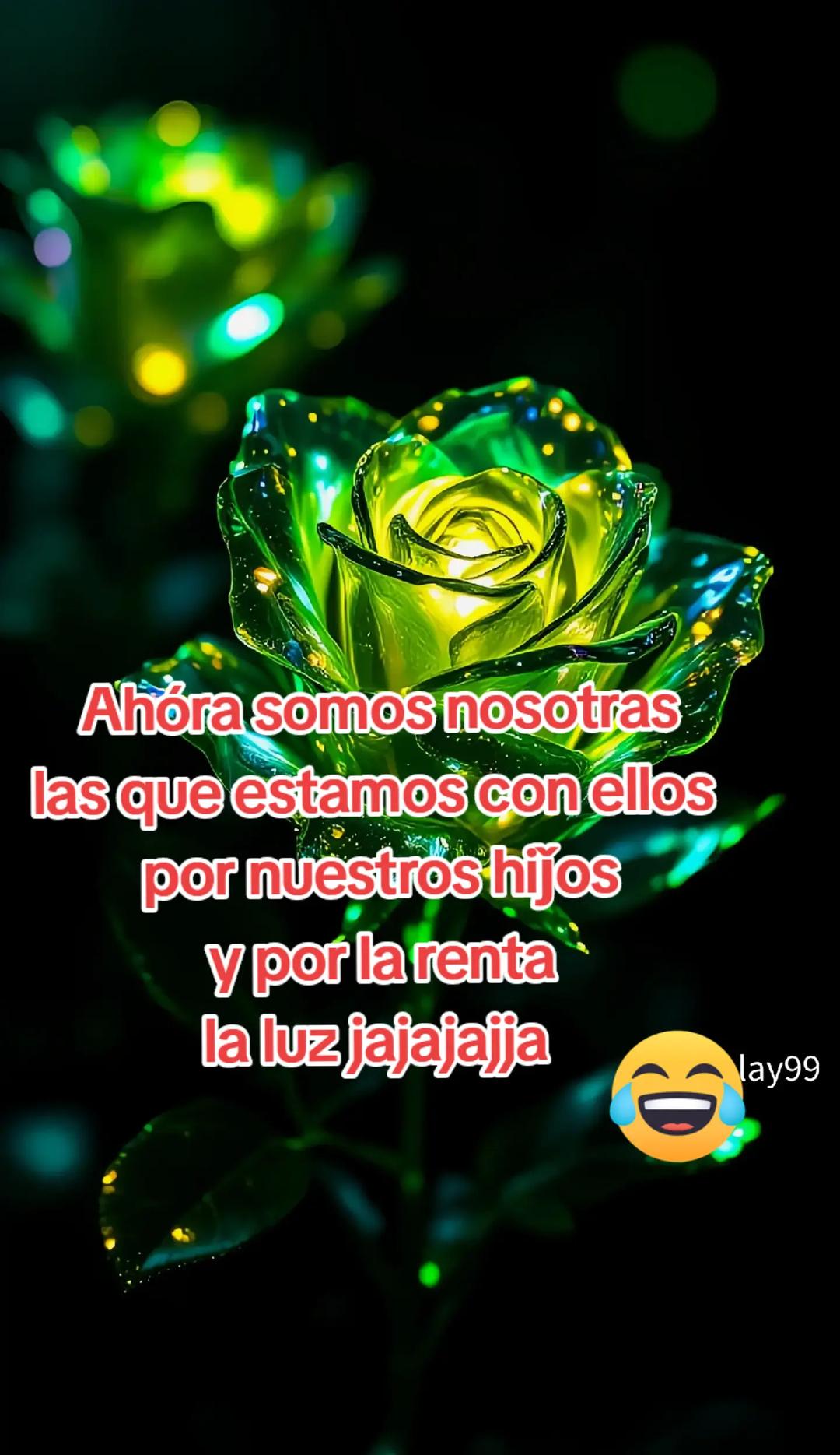 @🫀Chispita🧠 Alegre 💥
