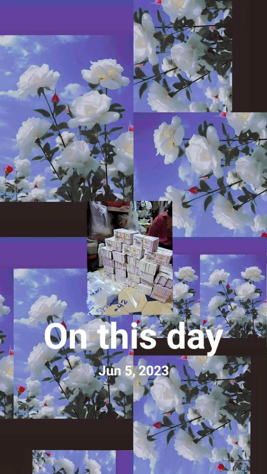 @hsuthetmon123