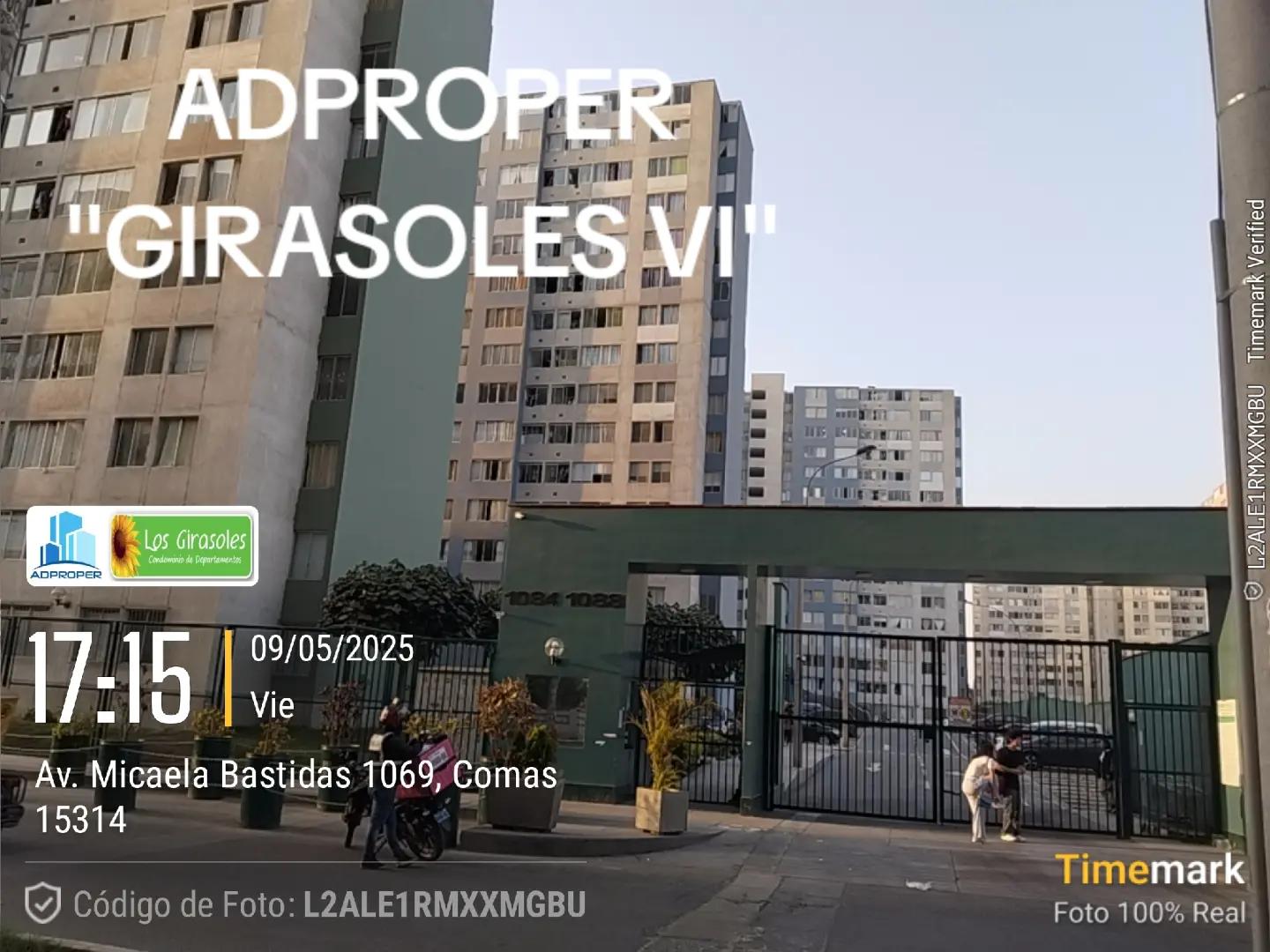 @ADPROPER "GIRASOLES VI "