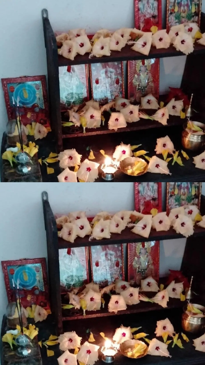 @Mina Shriwasatav