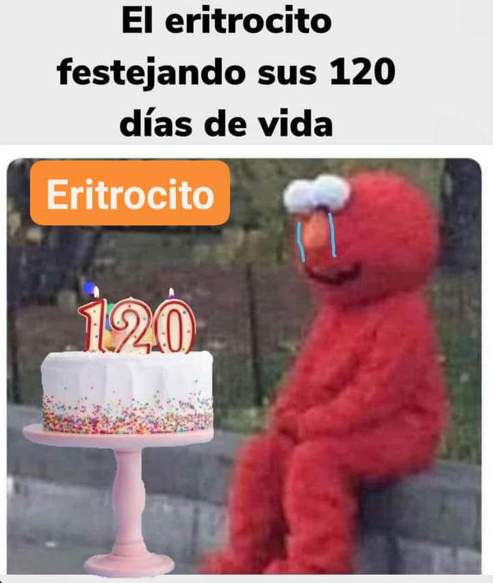 @gabrielmatamoros
