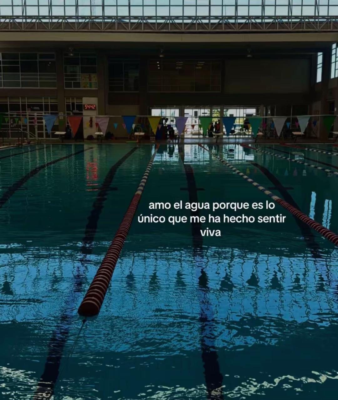 @Sof&iacute;a 🦋