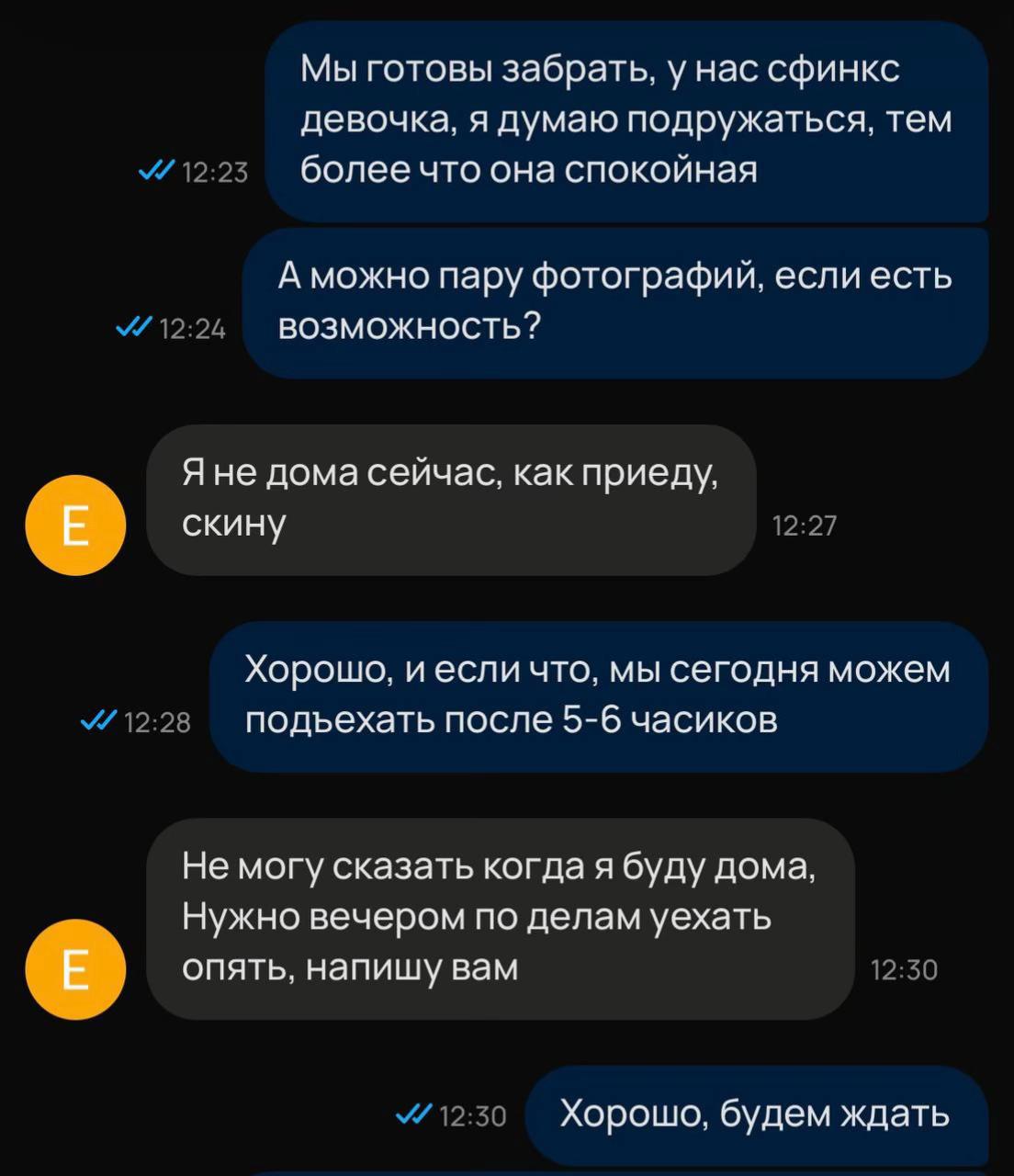 @evgenia