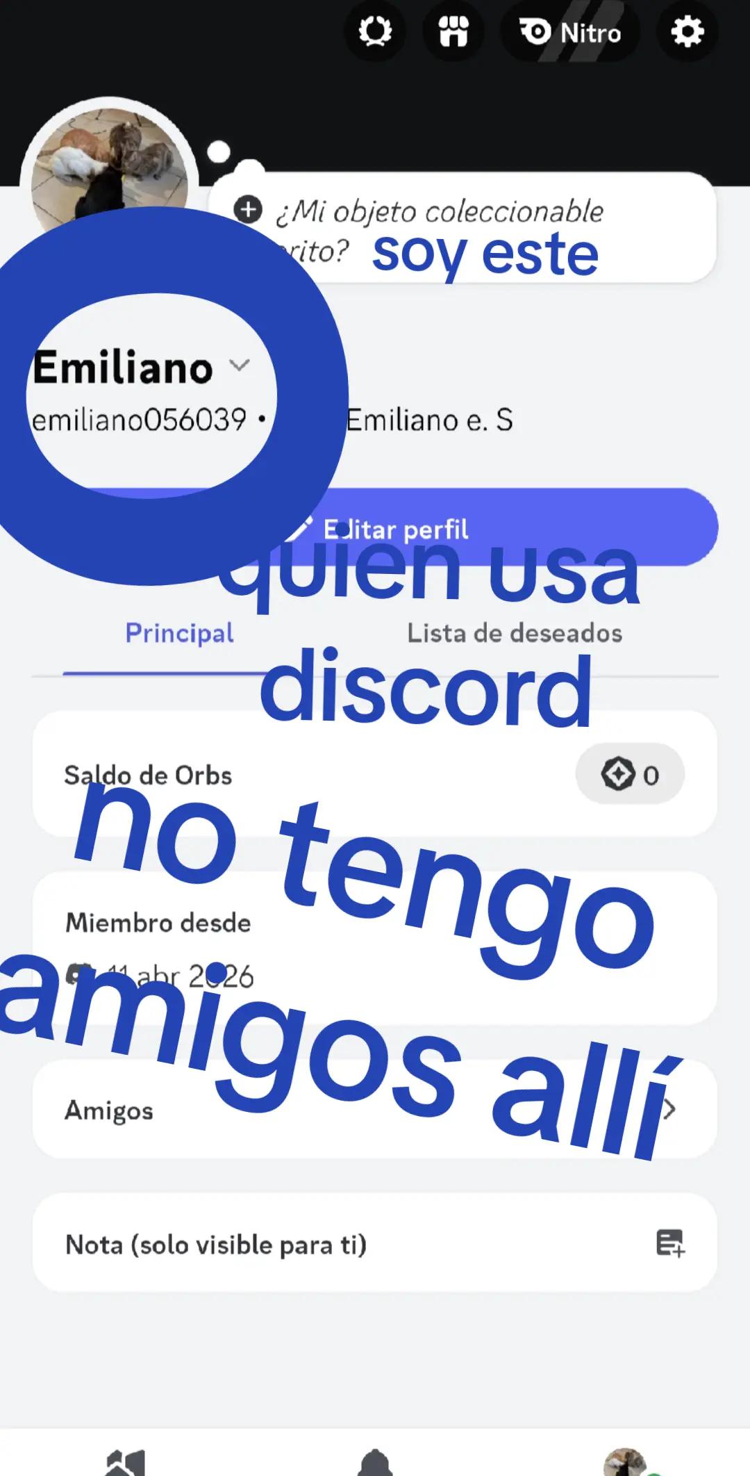 @iceloving