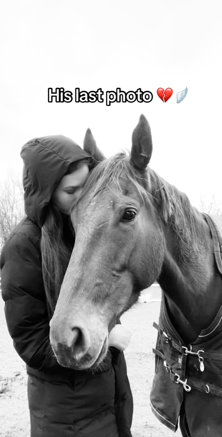 @HorsesFirst