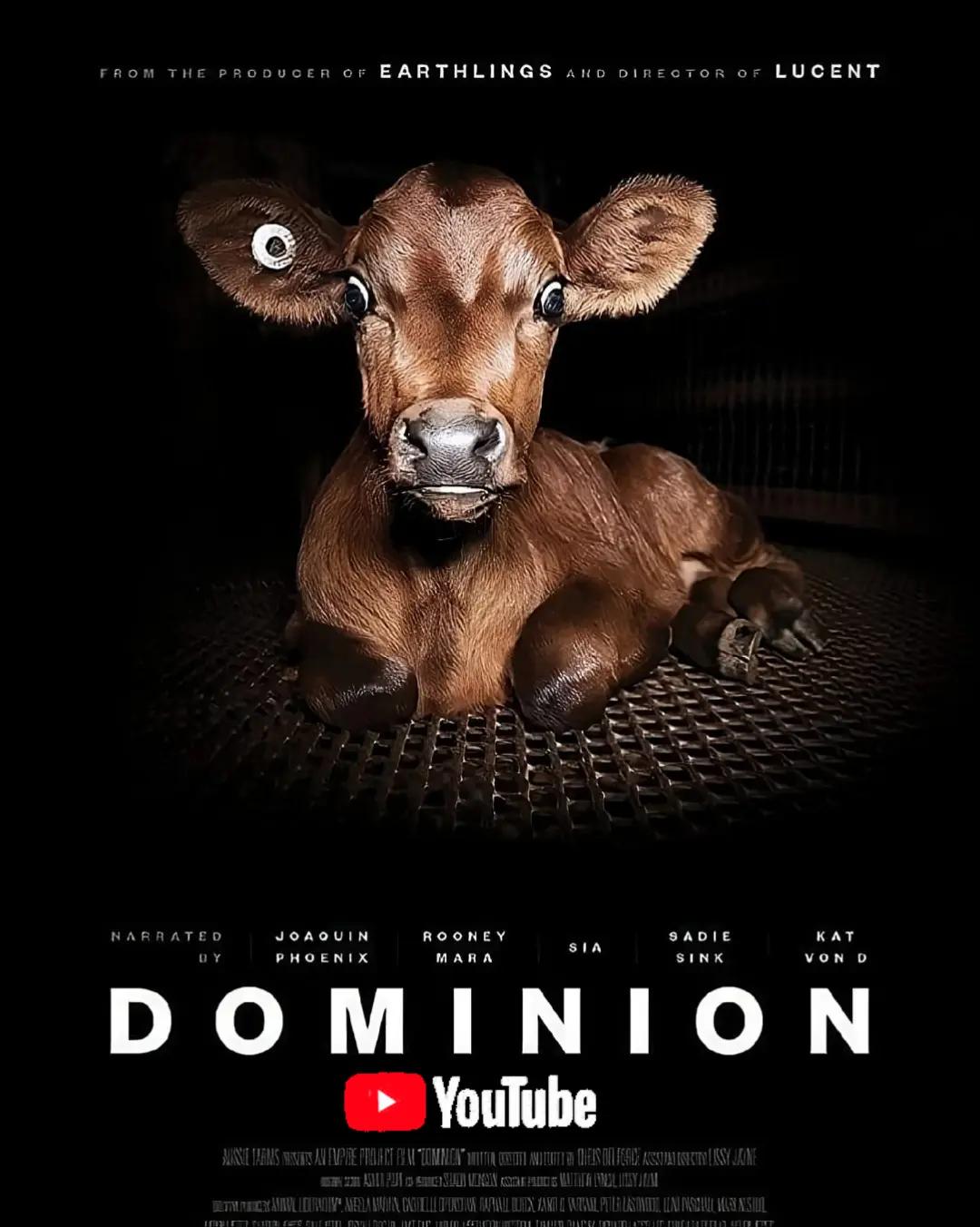 @Mauro Vegan🐑