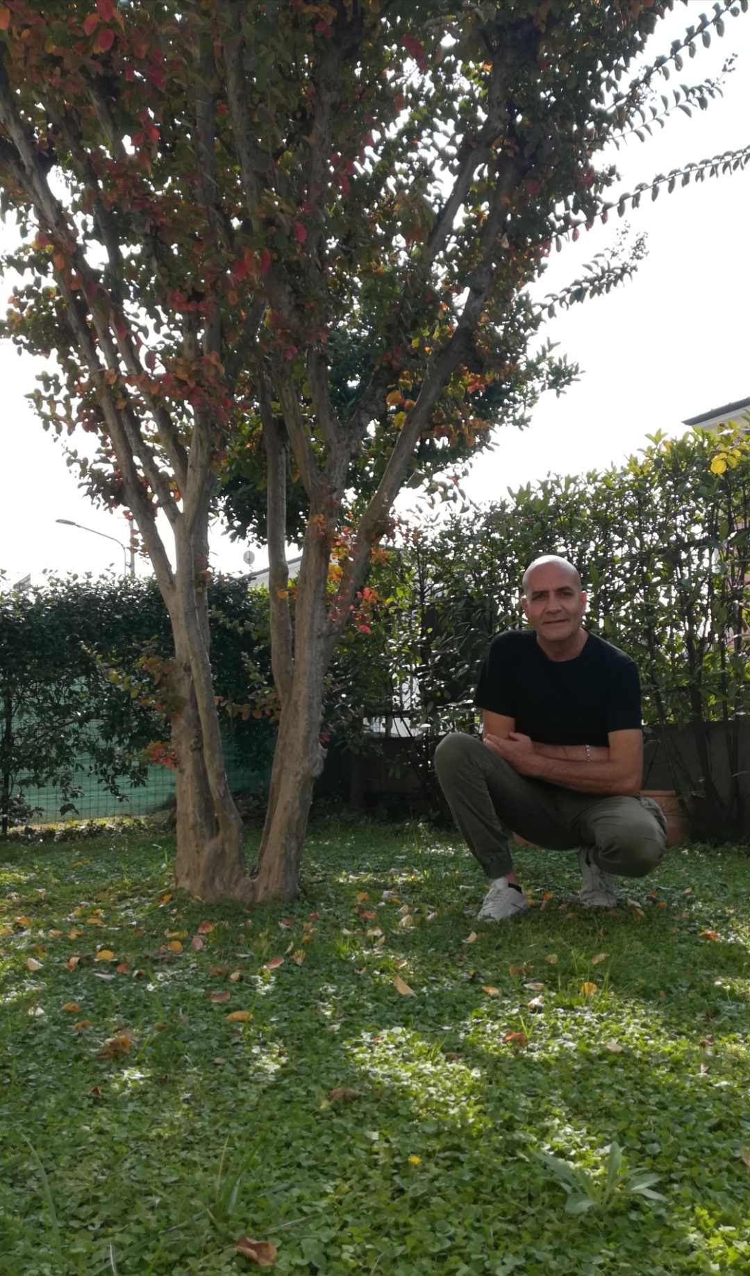 @giuseppeluci496