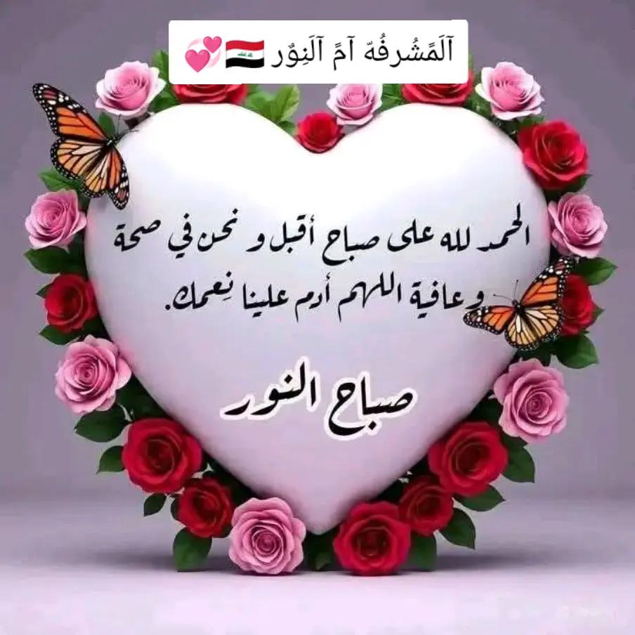 @آلَمًشُرفُهّ آمً آلَنِوٌر🇮🇶