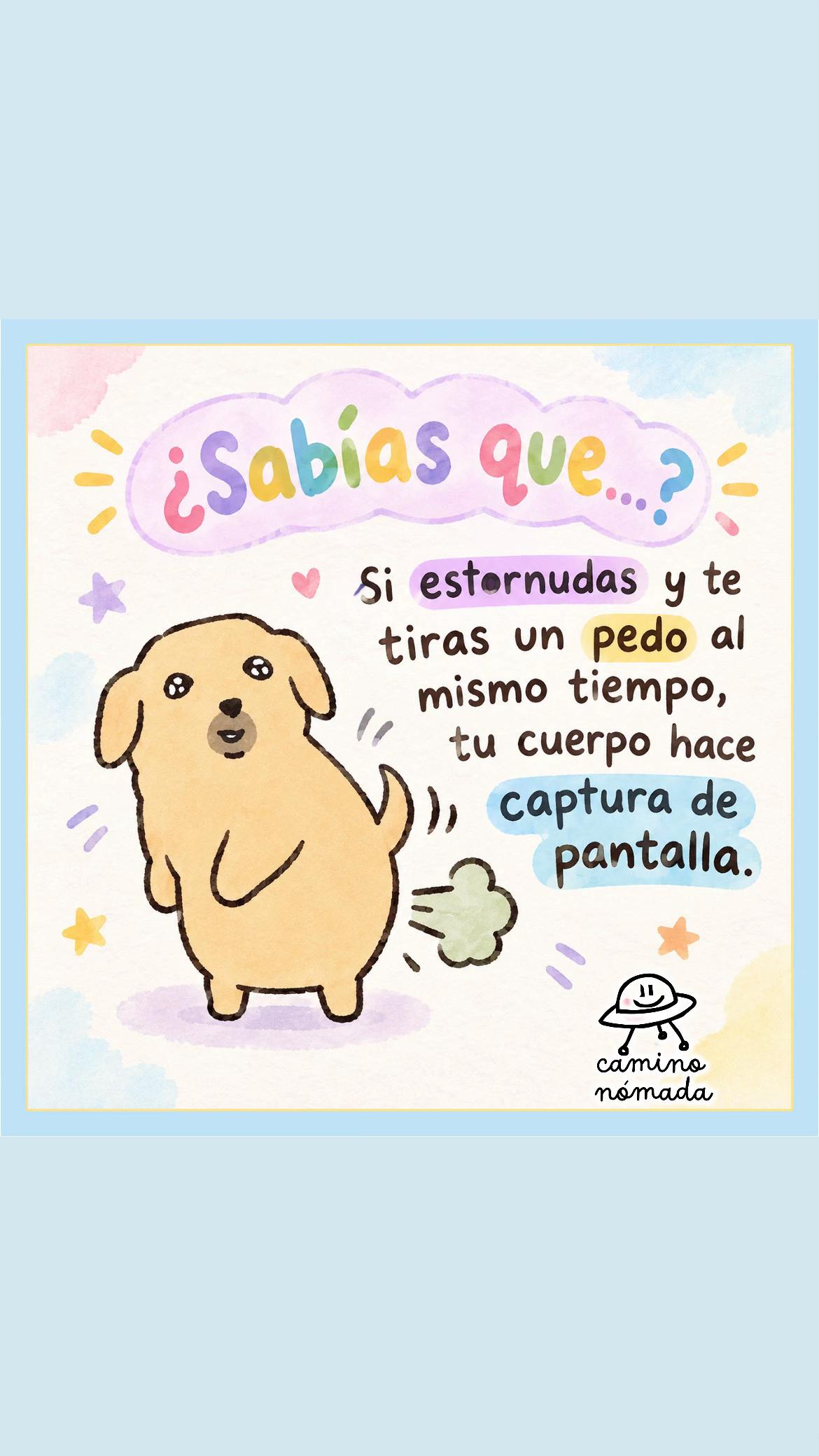 @Camino Nómada