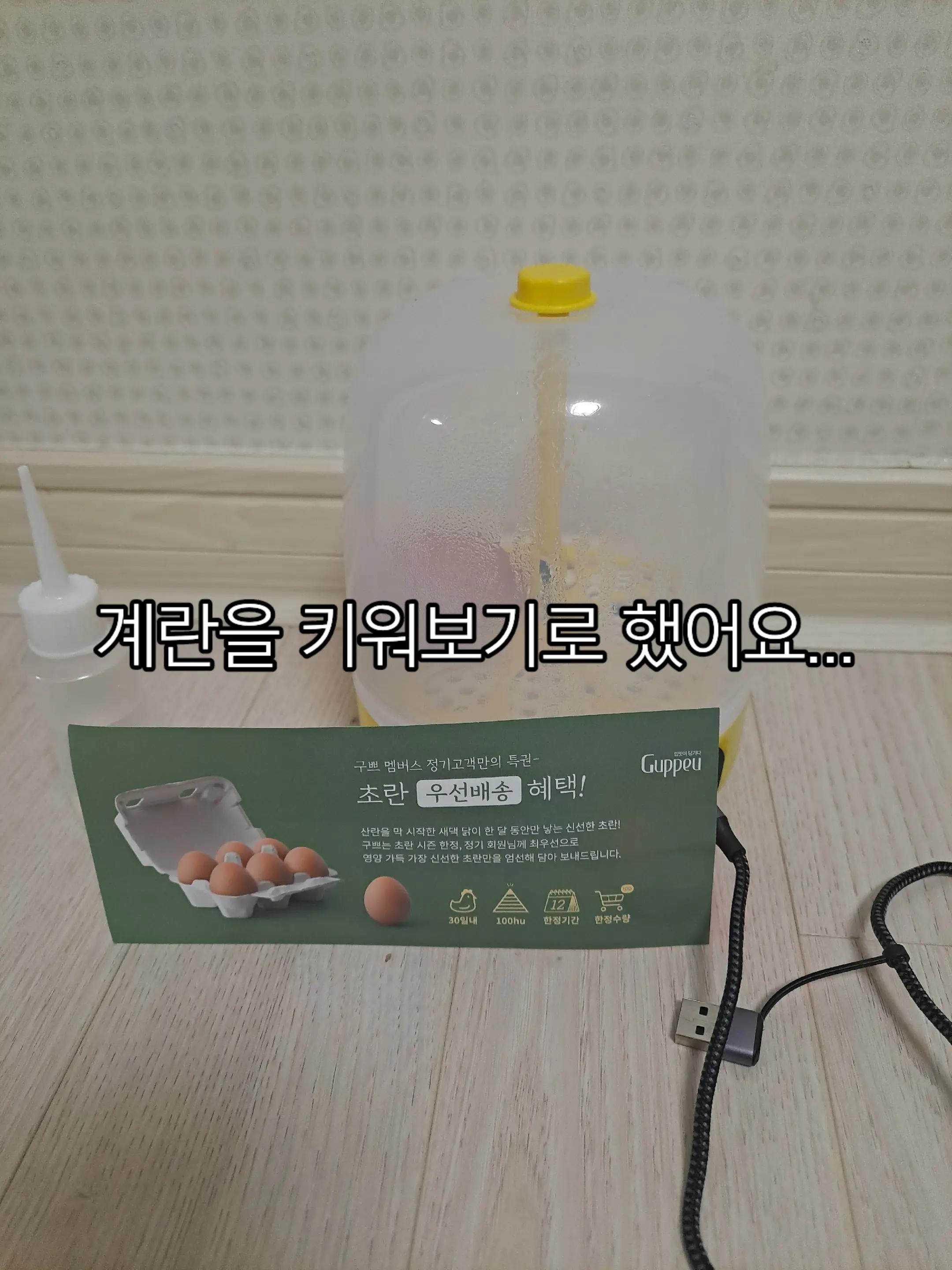 @쿼카콜라