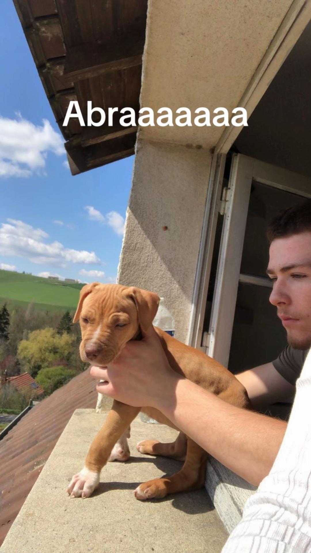 @kiara_isis_apbt