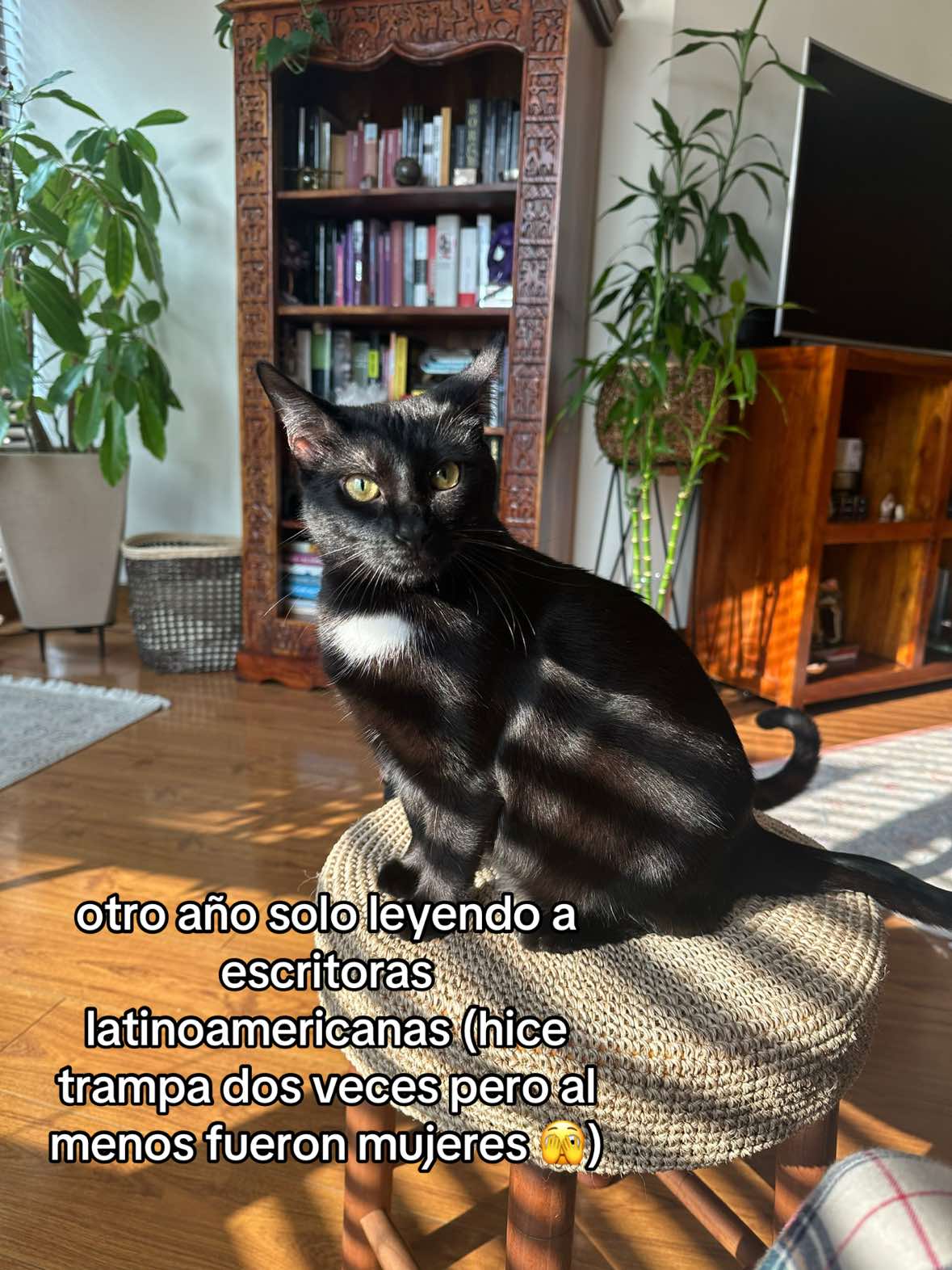 @Juanita ✴️