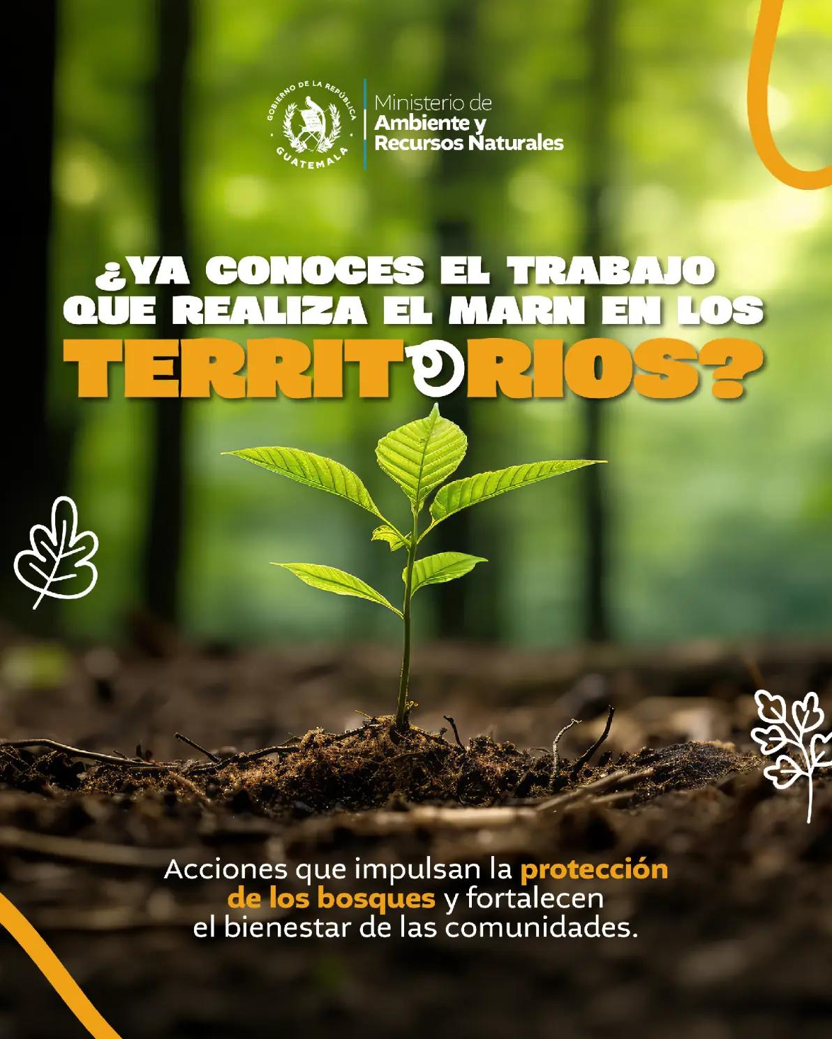 @Ministerio de Ambiente GT