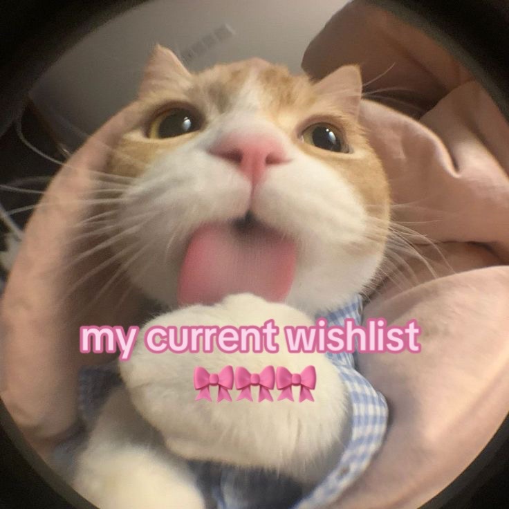 @janrita!