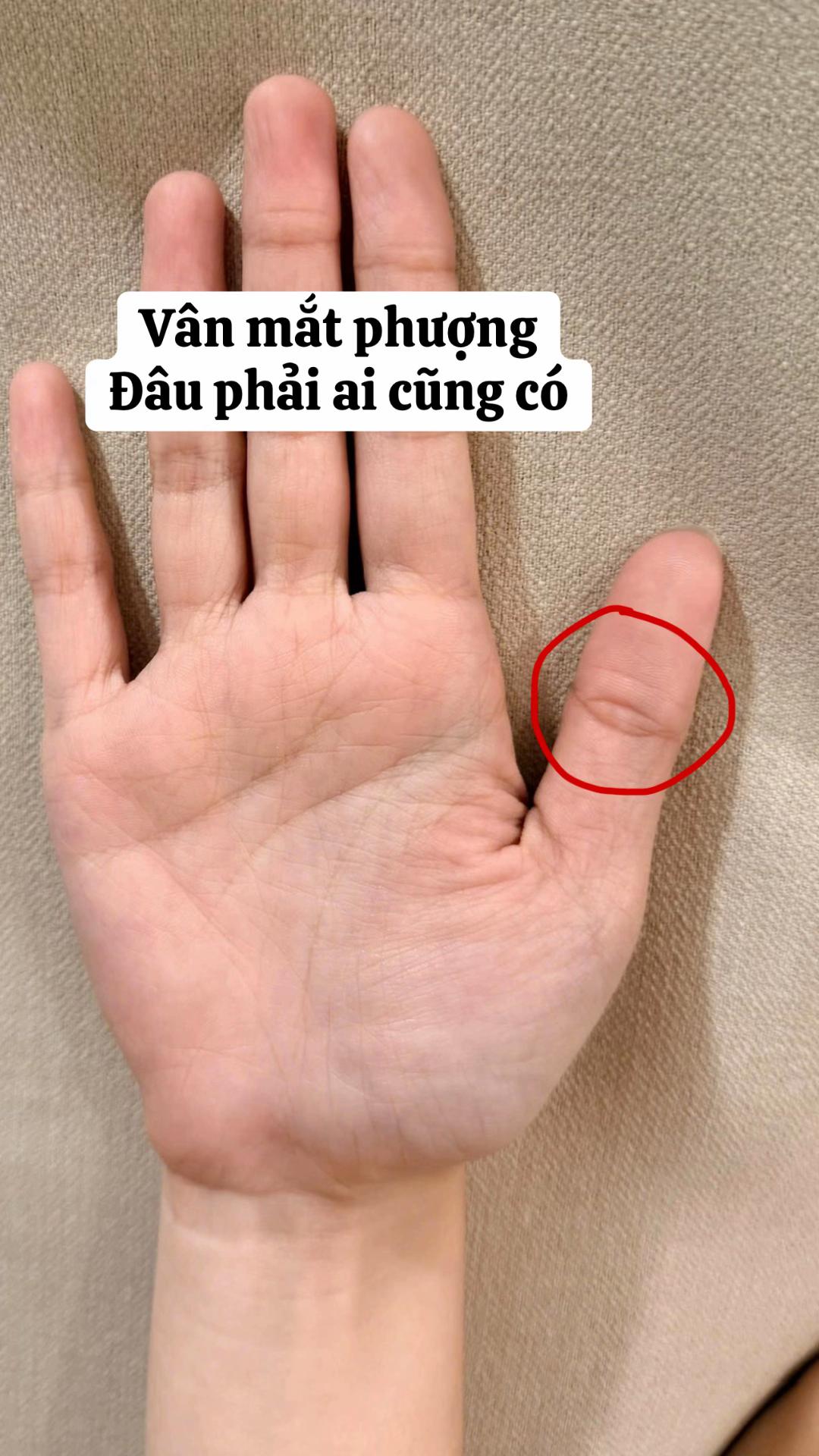 @VẬN MỆNH RADIO