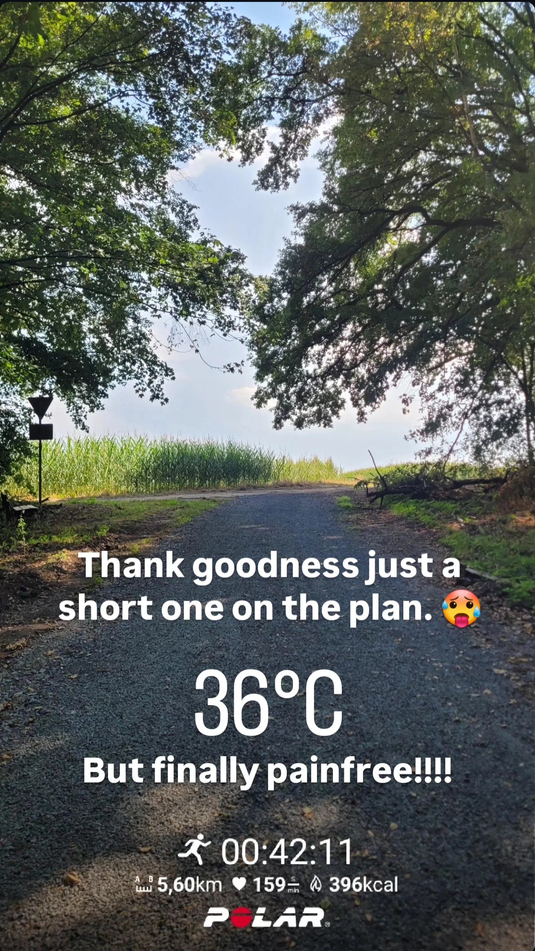 @schnullerbacke
