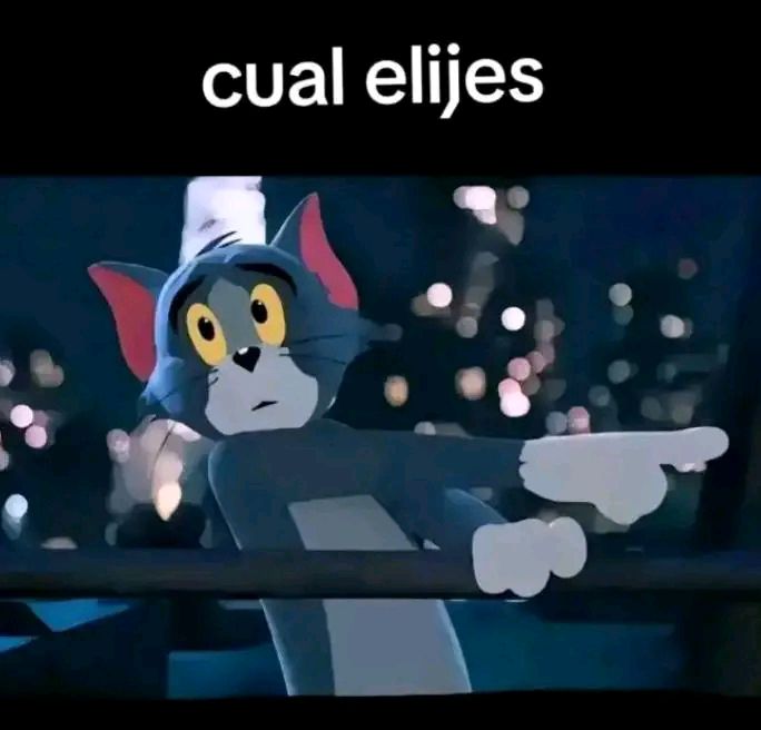 @Ivis 1602🥺